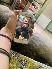 Iphone 6