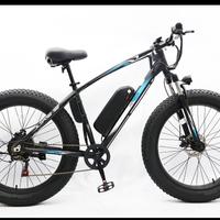 Bici bicicletta Montabike elettrica strong