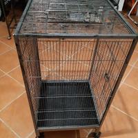 gabbia per uccelli