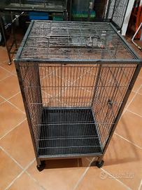 gabbia per uccelli