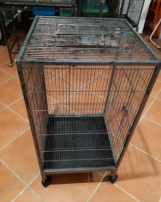 gabbia per uccelli