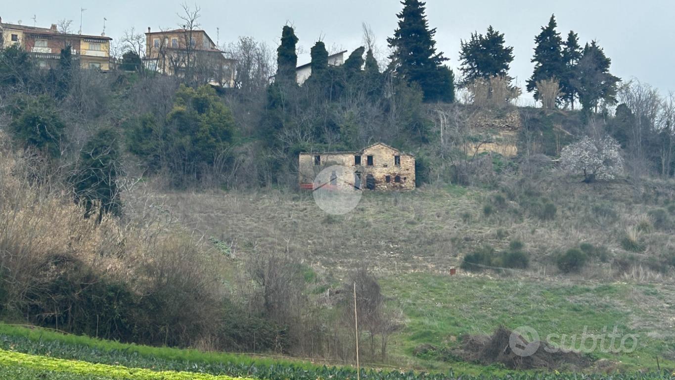 TER. AGRICOLO A RIPATRANSONE - Vista 4