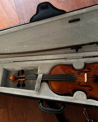 Violino domus