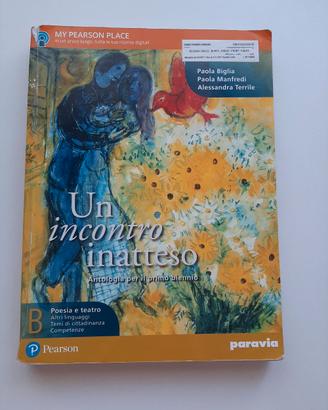 Un incontro inatteso B - ISBN 9788839529015