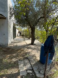 Terreni 5 ettari e casetta