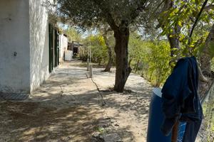 Terreni 5 ettari e casetta