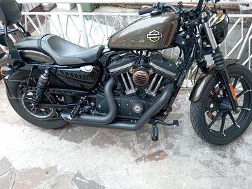Harley-Davidson 883 iron