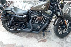 Harley-Davidson 883 iron