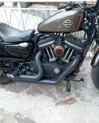 Harley-Davidson 883 iron