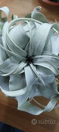 Tillandsia xerographica