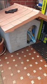 cuccia x cani