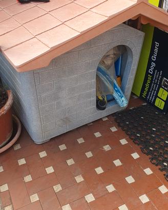 cuccia x cani