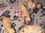 Immagine 5