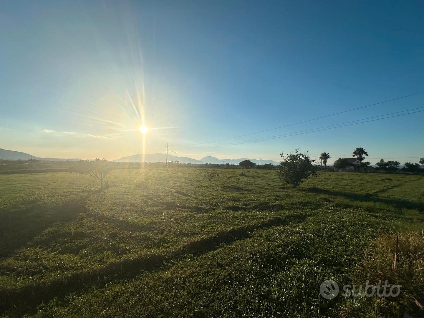 Terreno agricolo a Partinico - Vista 4