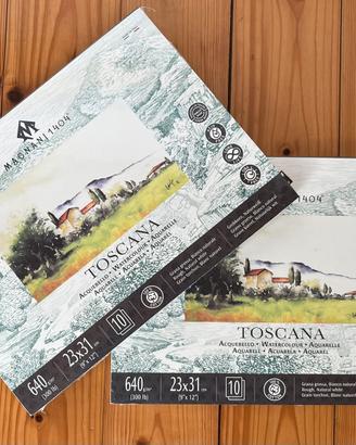 Lotto 2 album Magnani 1404 modello Toscana