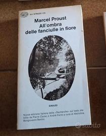 All'ombra delle fanciulle in fiore di Proust