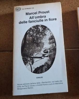 All'ombra delle fanciulle in fiore di Proust