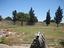 Immagine 13