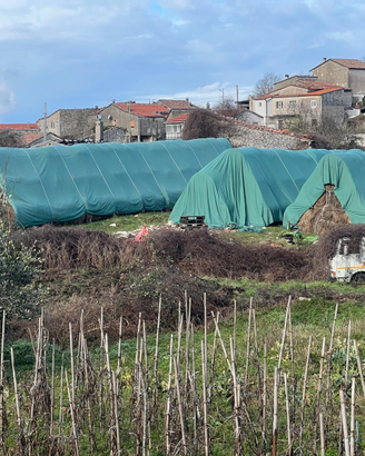 Rotoballe di fieno