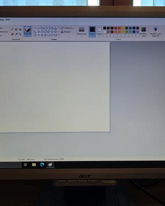 Monitor Acer AL1916W LCD 19" Wide 16:10