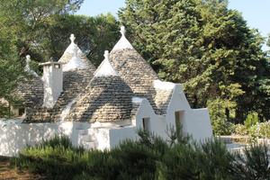 Trullo valle d'itria - Martina Franca- Ciste