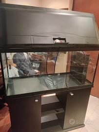 Acquario Cayman 110 Ferplast usato completo