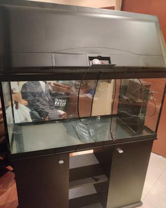Acquario Cayman 110 Ferplast usato completo