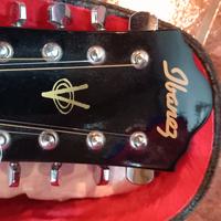 chitarra jbenez 12 corde