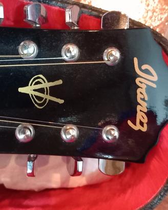 chitarra jbenez 12 corde