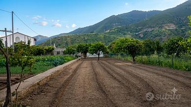 Terreno Residenziale di 650 mq. a 200 mt. dal mare