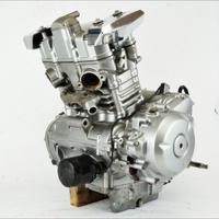 motore originale Suzuki Inazuma 250 12 17