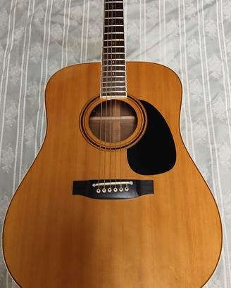 Chitarra acustica Takamine
