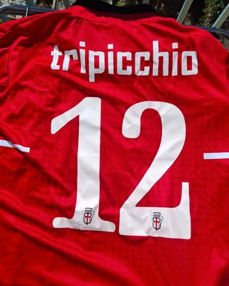 Maglia Pro Vercelli Tripicchio #12 L