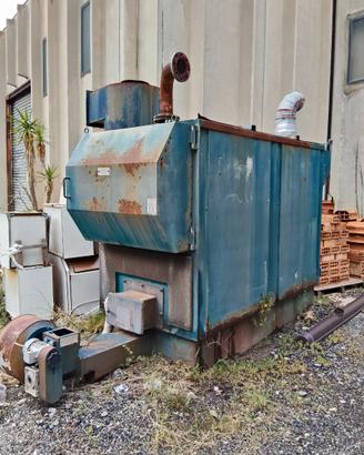 Caldaia a Sansa nocciolino 872 Kw