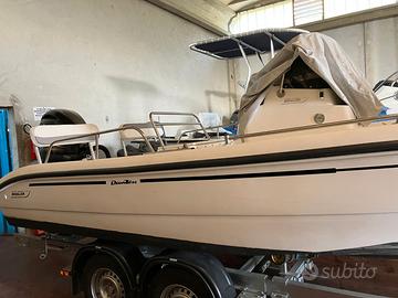 Barca Boston Whaler