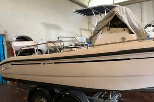 Barca Boston Whaler