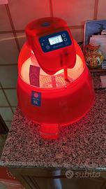 Incubatrice covatutto 16 posti