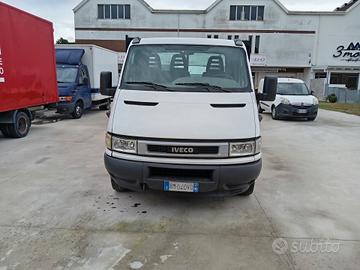 Iveco daily cassonato