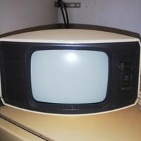 Videocitofono vintage