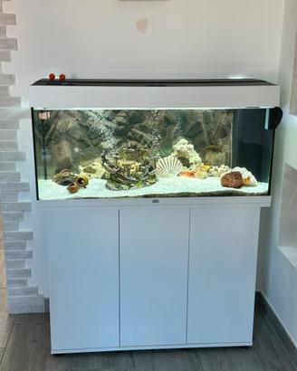 Acquario juwel 180l