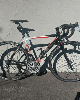 Bici da corsa