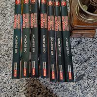 Cronache di un Guerriero Manga