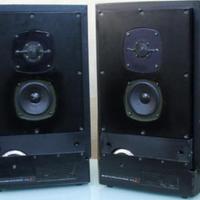 Audio Pro A4-14 MK-II - Altoparlanti Amplificati