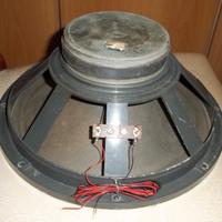 Altoparlante sipe full range da 30 cm