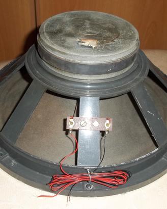 Altoparlante sipe full range da 30 cm