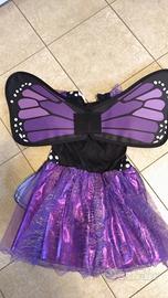 Costume carnevale farfalla 