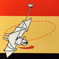 Nuovo PIPISTRELLO VOLANTE A BATTERIE Halloween Pub