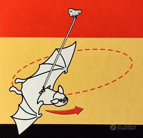 Nuovo PIPISTRELLO VOLANTE A BATTERIE Halloween Pub