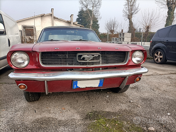 Ford mustang coupe 289