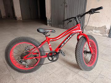 Bici da ragazzo